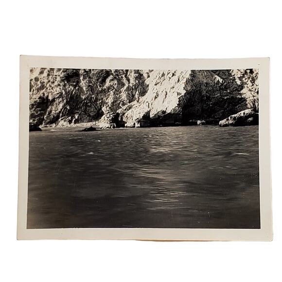Vintage Black & White Photo 1940s Found Seal Island Ocean Animalcore Snapshot - Picture 1 of 4